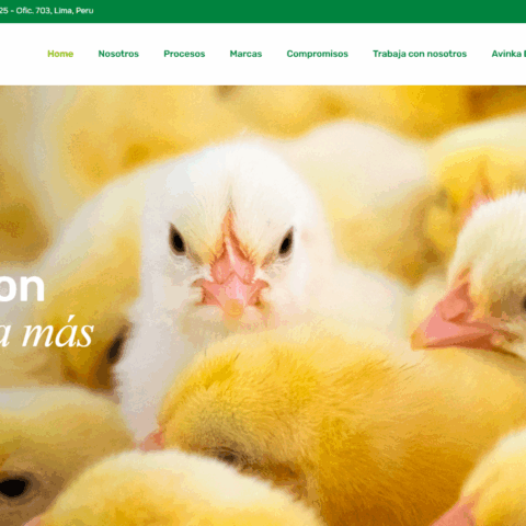 Captura de pantalla 2025-05-02 144715